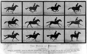 376666main_avalanche_horse_HI In the 19th century, high-speed photography of galloping race horses surprised researchers by revealing that the horse spends part of its stride completely airborne. Modern researchers hope that SDO's high-speed photography of the sun will turn up even bigger surprises in the field of solar physics. Credit: Library of Congress Prints and Photographs Division/Eadweard Muybridge