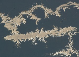 160328main_iss020e034693 Lake Erepecu and Rio Trombetas in Brazil are featured in this sun glint image photographed by an Expedition 20 crew member on the International Space Station. Credit: NASA