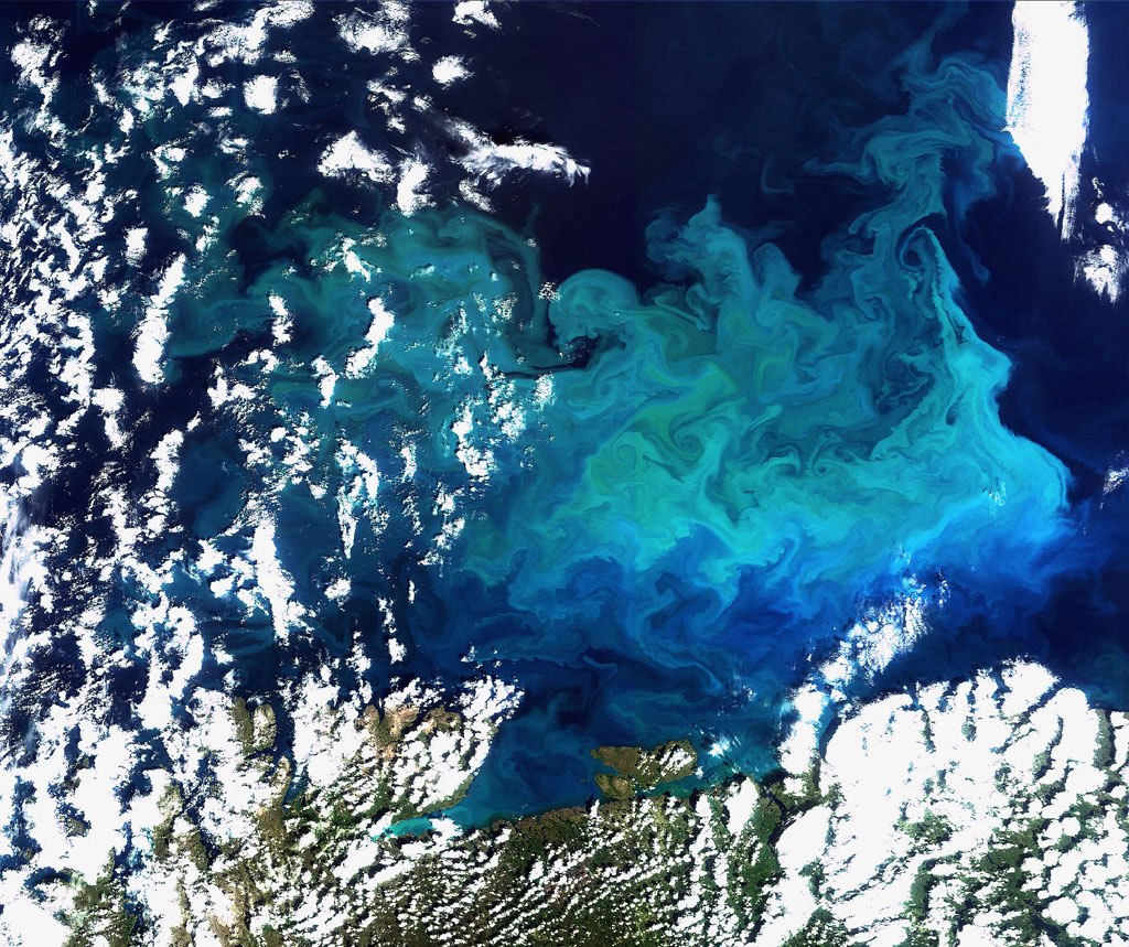 Arctic_Bloom_20090819_H1 This Envisat image captures a plankton bloom larger than the country of Greece stretching across the Barents Sea off the tip of northern Europe. Credit:ESA