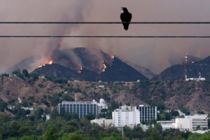 dsn20090909-full The Station fire, which started on Aug. 26, devoured brush in the foothills above JPL on Fri., Aug. 28. Image credit: NASA/JPL/Dan Goods