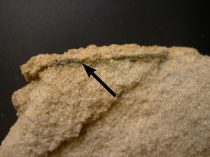 An image showing microbes living in sandstone in Antarctica (credit: C Cockell)