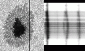 zeeman Zeeman splitting of spectral lines from a strongly-magnetized sunspot.