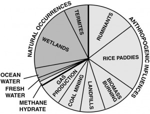 Natural sources of methane include wetlands, termites, decomposing organic materials in ocean and fresh water, and a type of ice called methane hydrate. Man-made methane sources include livestock, rice paddies, biomass burning, landfills, coal mining, and gas production. Credit: U.S Dept. of Energy Natural sources of methane include wetlands, termites, decomposing organic materials in ocean and fresh water, and a type of ice called methane hydrate. Man-made methane sources include livestock, rice paddies, biomass burning, landfills, coal mining, and gas production. Credit: U.S Dept. of Energy