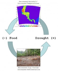 A deadly cycle of drought, warming and deforestation may have doomed the Maya. A deadly cycle of drought, warming and deforestation may have doomed the Maya.