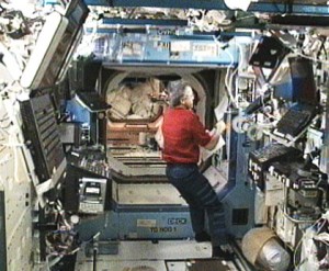 Expedition 21 Flight Engineer Robert Thirsk works in the U.S. Destiny laboratory of the International Space Station. Credit: NASA TV Expedition 21 Flight Engineer Robert Thirsk works in the U.S. Destiny laboratory of the International Space Station. Credit: NASA TV