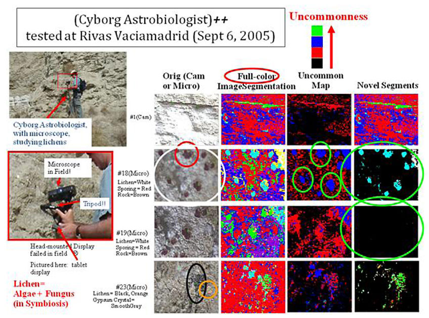 The Hopfield AI system was able to successfully identify lichen spores imaged by a digital microscope as a novel feature on rock formations in Rivas Vaciamadrid, Spain. Image Credit: Patrick McGuire The Hopfield AI system was able to successfully identify lichen spores imaged by a digital microscope as a novel feature on rock formations in Rivas Vaciamadrid, Spain. Image Credit: Patrick McGuire