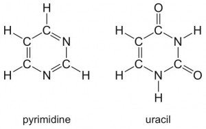 The molecular structures of pyrimidine and uracil.