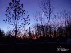A Leonid meteor at dawn, photographed in 2002 by Simon Filiatrault of Quebec, Canada.