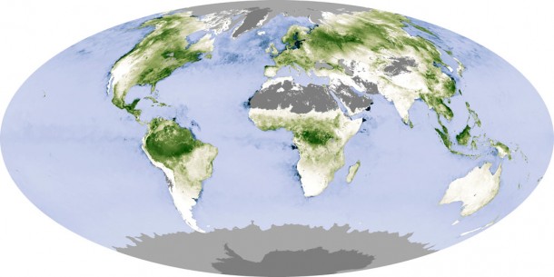 Global measurements of the carbon stored by plants (net primary productivity) during photosynthesis, based on MODIS data, are an important piece of the climate change puzzle. Credit: NASA Earth Observatory Global measurements of the carbon stored by plants (net primary productivity) during photosynthesis, based on MODIS data, are an important piece of the climate change puzzle. Credit: NASA Earth Observatory