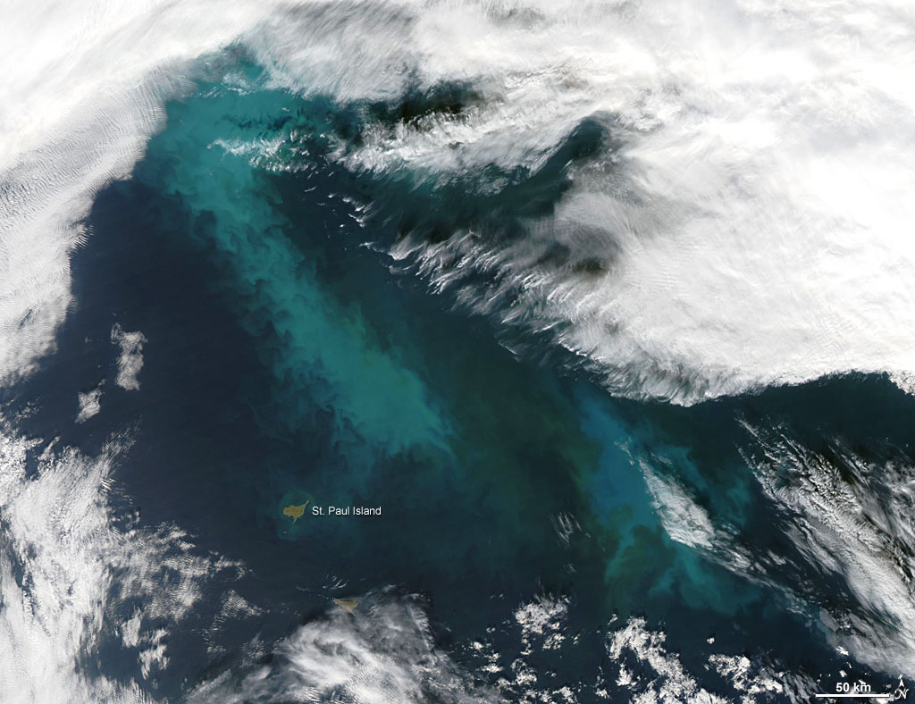 Phytoplankton Bloom in the Bering Sea. Credit: NASA Phytoplankton Bloom in the Bering Sea. Credit: NASA