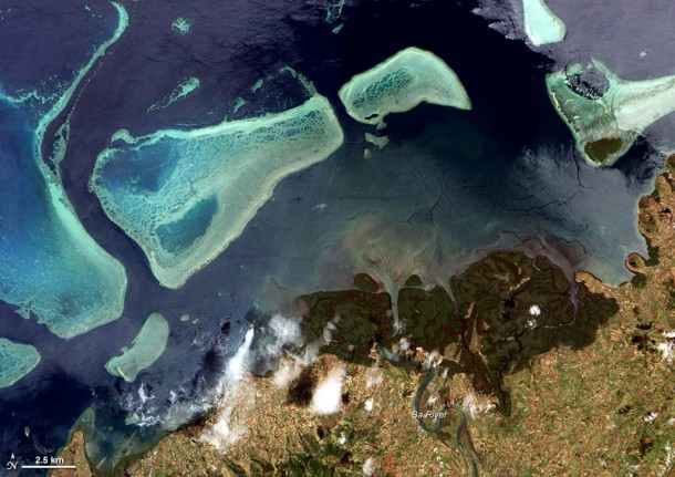 Mangroves and Coral Reefs, Viti Levu, Fiji as Seen from Space. Credit: NASA