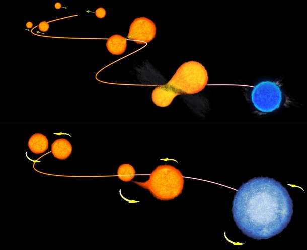 This illustration demonstrates the two ways that blue stragglers — or "rejuvenated" stars — in globular clusters form. Credit: NASA/ ESA This illustration demonstrates the two ways that blue stragglers — or "rejuvenated" stars — in globular clusters form. Credit: NASA/ ESA