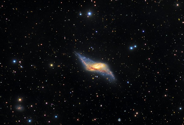 The polar ring galaxy NGC 660. Credit: Immo Gerber and Dietmar Hager