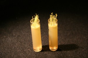 German experiment, University of Marburg. Credit: DLR