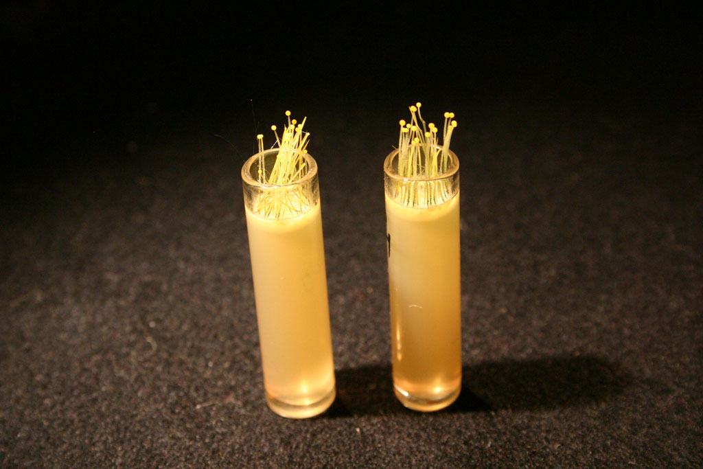 Zero gravity materials science and biology experiments International