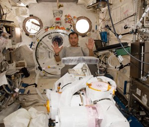 Flight Engineer Soichi Noguchi is in the Japanese Kibo laboratory assembling the Small Fine Arm. Credit: NASA Flight Engineer Soichi Noguchi is in the Japanese Kibo laboratory assembling the Small Fine Arm. Credit: NASA