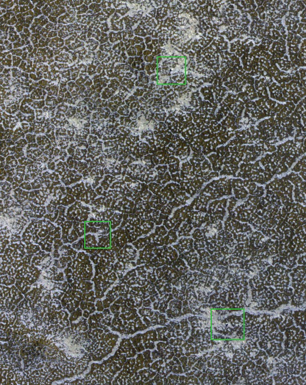 Phoenix Lander in Springtime. Credit: NASA/JPL