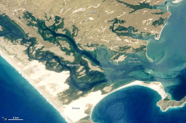 Mangroves, Dunes, and Desert on Baja California as Seen from the ISS. Credit: NASA