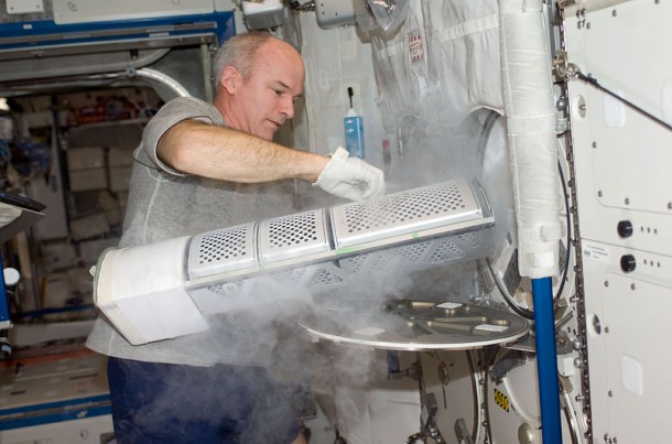 Expedition 22 Commander Jeff Williams services the Advanced Plant Experiments on Orbit-Cambium (APEX-C) payload in the Minus Eighty Laboratory Freezer for ISS-2 (MELFI-2) in the Destiny laboratory of the International Space Station. Credit: NASA Expedition 22 Commander Jeff Williams services the Advanced Plant Experiments on Orbit-Cambium (APEX-C) payload in the Minus Eighty Laboratory Freezer for ISS-2 (MELFI-2) in the Destiny laboratory of the International Space Station. Credit: NASA