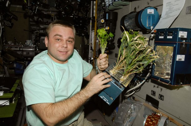 Expedition 22 Flight Engineer Maxim Suraev poses for a photo with the current growth experiment on the BIO-5 Rasteniya-2 (Plants-2) payload in the Zvezda service module of the International Space Station. Credit: NASA Expedition 22 Flight Engineer Maxim Suraev poses for a photo with the current growth experiment on the BIO-5 Rasteniya-2 (Plants-2) payload in the Zvezda service module of the International Space Station. Credit: NASA