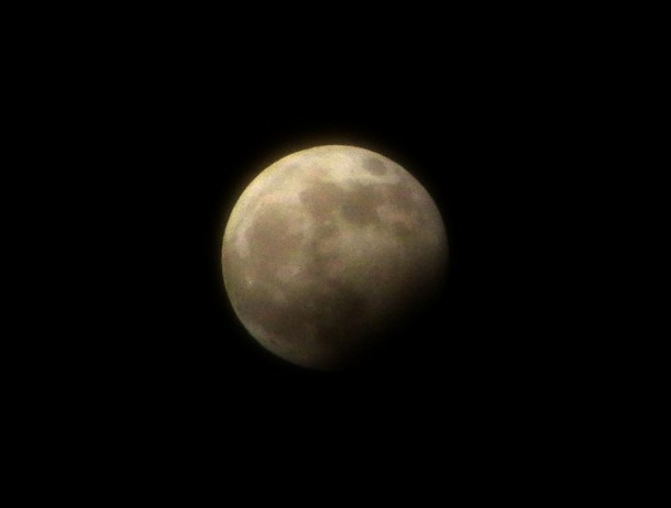 New Year's Eve Eclipse. Photo by Nathanial Burton-Bradford