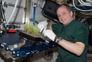 Expedition 23 Flight Engineer T.J. Creamer services the Advanced Plant Experiments on Orbit-Cambium (APEX-Cambium) experiment in the Destiny laboratory of the International Space Station. Credit: NASA Expedition 23 Flight Engineer T.J. Creamer services the Advanced Plant Experiments on Orbit-Cambium (APEX-Cambium) experiment in the Destiny laboratory of the International Space Station. Credit: NASA