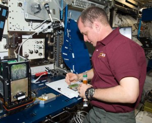 Expedition 23 Flight Engineer T.J. Creamer services the Advanced Plant Experiments on Orbit-Cambium experiment in the Columbus laboratory of the International Space Station. Credit: NASA Expedition 23 Flight Engineer T.J. Creamer services the Advanced Plant Experiments on Orbit-Cambium experiment in the Columbus laboratory of the International Space Station. Credit: NASA
