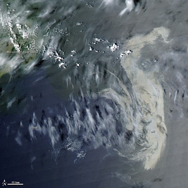 Oil keeps on Spreading in the Gulf of Mexico. Credit: NASA/Earth Observatory Oil keeps on Spreading in the Gulf of Mexico. Credit: NASA/Earth Observatory