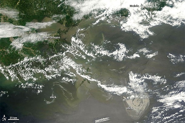 Most Recent Satellite Image of Oil Slick in the Gulf of Mexico. Credit: NASA/Earth Observatory Most Recent Satellite Image of Oil Slick in the Gulf of Mexico. Credit: NASA/Earth Observatory