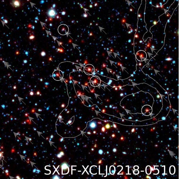 This false colour image is 3.4 arcmin on a side (about 1/10 the size of the moon). The arrows indicate galaxies that are likely located at the same distance, clustered around the centre of the image. The contours indicate the X-ray emission of the cluster. Galaxies with confirmed distance measurements of 9.6 billion light years are circled. The combination of the X-ray detection and the collection of massive galaxies unequivocally proves a real, gravitationally bound cluster. This false colour image is 3.4 arcmin on a side (about 1/10 the size of the moon). The arrows indicate galaxies that are likely located at the same distance, clustered around the centre of the image. The contours indicate the X-ray emission of the cluster. Galaxies with confirmed distance measurements of 9.6 billion light years are circled. The combination of the X-ray detection and the collection of massive galaxies unequivocally proves a real, gravitationally bound cluster.