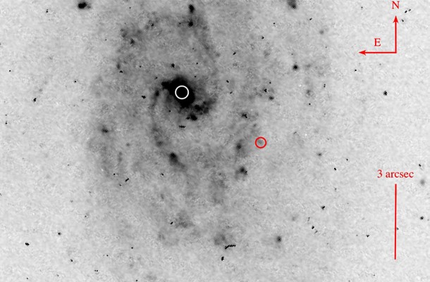 A Hubble Space Telescope image of the galaxy studied by Marianne Heida. The white circle marks the centre of the galaxy and the red circle marks the position of the suspected offset black hole. Image: STScI / NASA A Hubble Space Telescope image of the galaxy studied by Marianne Heida. The white circle marks the centre of the galaxy and the red circle marks the position of the suspected offset black hole. Image: STScI / NASA
