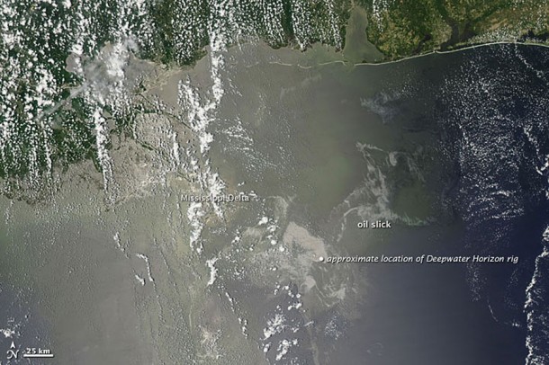 Oil Slick in the Gulf of Mexico as Seen from Space. Credit: NASA/Earth Observatory Oil Slick in the Gulf of Mexico as Seen from Space. Credit: NASA/Earth Observatory