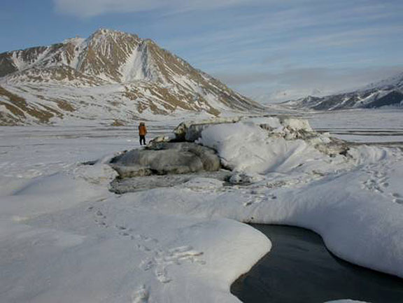 This is Lost Hammer Spring on Axel Heiberg Island, Nunavut Territory, Canada. Credit: Dept. Natural Resource Sciences, McGill University, Montreal. This is Lost Hammer Spring on Axel Heiberg Island, Nunavut Territory, Canada. Credit: Dept. Natural Resource Sciences, McGill University, Montreal.