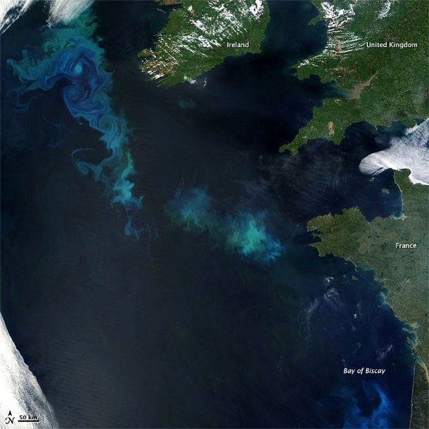 Phytoplankton Bloom in the North Atlantic Seen from Space. Credit: Earth Observatory Phytoplankton Bloom in the North Atlantic Seen from Space. Credit: Earth Observatory
