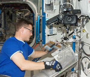 Inside the Destiny laboratory, Flight Engineer Doug Wheelock services a freezer that stores biological samples. Credit: NASA Inside the Destiny laboratory, Flight Engineer Doug Wheelock services a freezer that stores biological samples. Credit: NASA