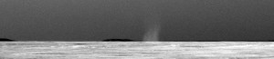 This is the first dust devil that NASA's Mars Exploration Rover Opportunity has observed in the rover's six-and-a-half years on Mars. Image Credit: NASA/JPL-Caltech/Cornell University/Texas A&M This is the first dust devil that NASA's Mars Exploration Rover Opportunity has observed in the rover's six-and-a-half years on Mars. Image Credit: NASA/JPL-Caltech/Cornell University/Texas A&M