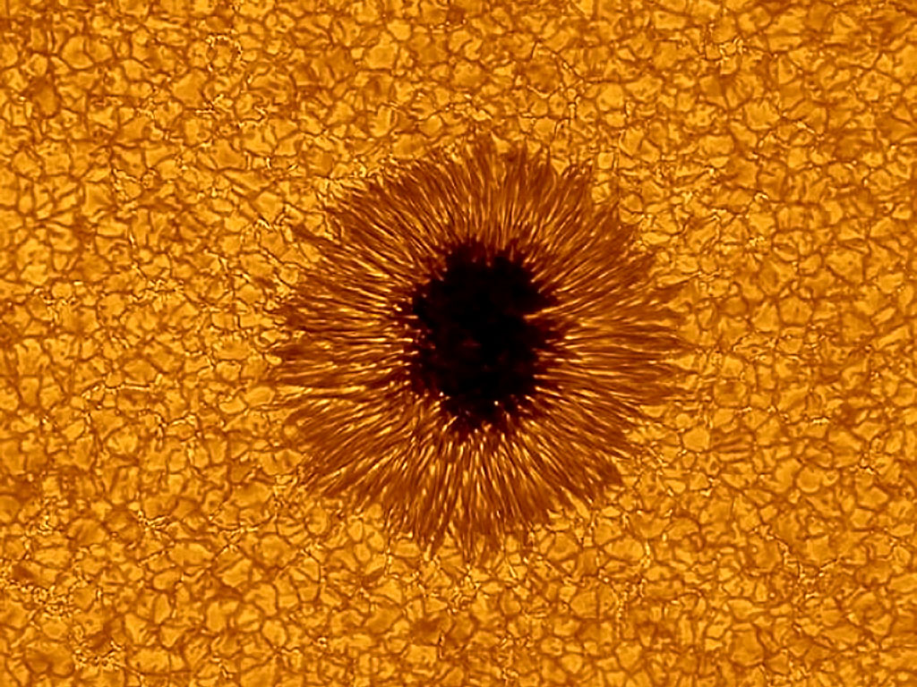 Amazing New Sun Image From NJIT s Big Bear Solar Observatory International Space Fellowship