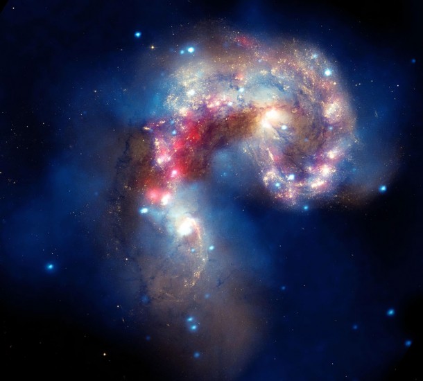 A new image of two tangled galaxies has been released by NASA's Great Observatories. The Antennae galaxies, located about 62 million light-years from Earth, are shown in this composite image from the Chandra X-ray Observatory (blue), the Hubble Space Telescope (gold and brown), and the Spitzer Space Telescope (red). The Antennae galaxies take their name from the long antenna-like arms seen in wide-angle views of the system. These features were produced in the collision. Image credit: Chandra: NASA/CXC/SAO, Spitzer: NASA/JPL-Caltech, Hubble: NASA/STScI A new image of two tangled galaxies has been released by NASA's Great Observatories. The Antennae galaxies, located about 62 million light-years from Earth, are shown in this composite image from the Chandra X-ray Observatory (blue), the Hubble Space Telescope (gold and brown), and the Spitzer Space Telescope (red). The Antennae galaxies take their name from the long antenna-like arms seen in wide-angle views of the system. These features were produced in the collision. Image credit: Chandra: NASA/CXC/SAO, Spitzer: NASA/JPL-Caltech, Hubble: NASA/STScI