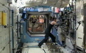 Flight Engineer Tracy Caldwell Dyson returns to tasks aboard the International Space Station after the Soyuz TMA-18 undocking was waived off early Friday. Credit: NASA TV Flight Engineer Tracy Caldwell Dyson returns to tasks aboard the International Space Station after the Soyuz TMA-18 undocking was waived off early Friday. Credit: NASA TV