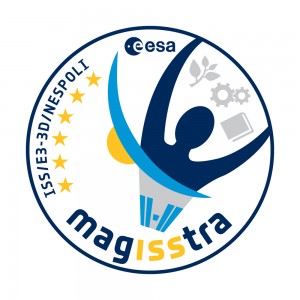 MagISStra patch