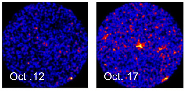 Images of areas of 10 degrees in radius around the nova MAXI J1409-619. A celestial body that was not observed on Oct. 12 shone bright on the 17th. Credit: JAXA/RIKEN/MAXI team. Images of areas of 10 degrees in radius around the nova MAXI J1409-619. A celestial body that was not observed on Oct. 12 shone bright on the 17th. Credit: JAXA/RIKEN/MAXI team.