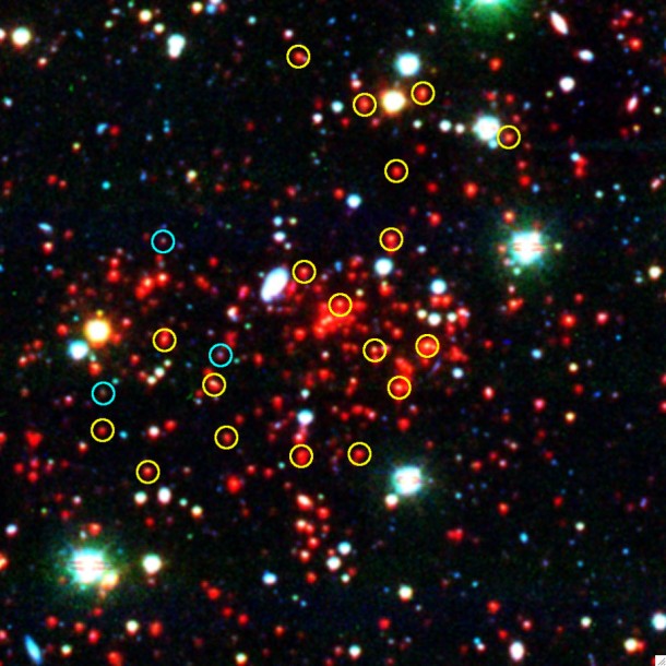 An infrared/optical representative-color image of a massive galaxy cluster located 7 billion light-years from Earth. This cluster weighs as much as 800 trillion Suns. Galaxies with "old" stellar populations, like modern-day ellipticals, are circled in yellow; galaxies with "young" stellar populations, like modern-day spirals, are circled in blue. Credit: Infrared Image: NASA/JPL-Caltech/M. Brodwin (Harvard-Smithsonian CfA) Optical Image: CTIO Blanco 4-m telescope/J. Mohr (LMU Munich) An infrared/optical representative-color image of a massive galaxy cluster located 7 billion light-years from Earth. This cluster weighs as much as 800 trillion Suns. Galaxies with "old" stellar populations, like modern-day ellipticals, are circled in yellow; galaxies with "young" stellar populations, like modern-day spirals, are circled in blue. Credit: Infrared Image: NASA/JPL-Caltech/M. Brodwin (Harvard-Smithsonian CfA) Optical Image: CTIO Blanco 4-m telescope/J. Mohr (LMU Munich)