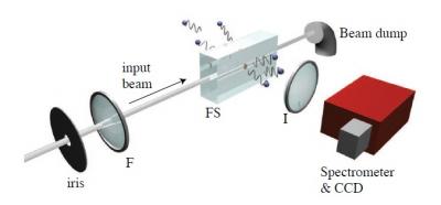 This experimental layout produces a detectable analogue of Hawking radiation. The input laser pulse is focused into a sample of fused silica (FS) using an axicon or lens (F). An imaging lens (I) collects the photons emitted at 90 deg and sends them to an imaging spectrometer coupled to a cooled CCD camera. Credit: F. Belgiorno, S.L. Cacciatori, M. Clerici, V. Gorini, G. Ortenzi, L. Rizzi, E. Rubino, V.G. Sala, D. Faccio This experimental layout produces a detectable analogue of Hawking radiation. The input laser pulse is focused into a sample of fused silica (FS) using an axicon or lens (F). An imaging lens (I) collects the photons emitted at 90 deg and sends them to an imaging spectrometer coupled to a cooled CCD camera. Credit: F. Belgiorno, S.L. Cacciatori, M. Clerici, V. Gorini, G. Ortenzi, L. Rizzi, E. Rubino, V.G. Sala, D. Faccio
