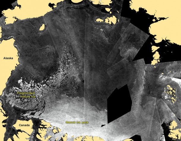 A mosaic of satellite images shows the movement of fragmented ice away from ice edges, which scientists use to track the loss of multiyear ice due to melt. Image credit: NASA Earth Observatory A mosaic of satellite images shows the movement of fragmented ice away from ice edges, which scientists use to track the loss of multiyear ice due to melt. Image credit: NASA Earth Observatory