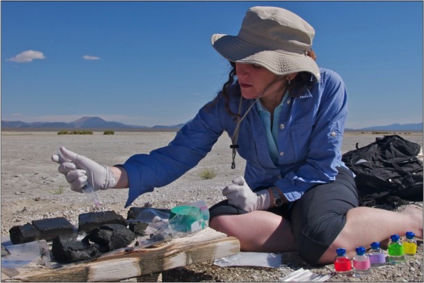 Felisa Wolfe-Simon processing mud from Mono Lake to inoculate media to grow microbes on arsenic. Image Credit: Henry Bortman Felisa Wolfe-Simon processing mud from Mono Lake to inoculate media to grow microbes on arsenic. Image Credit: Henry Bortman