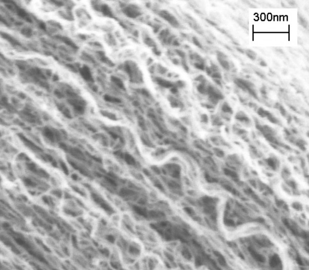 Multi-walled carbon nanotubes are tiny hollow tubes made of pure carbon about 10,000 times thinner than a strand of human hair. NASA is investigating their use to help suppress errant light that ricochets off instrument components and contaminates measurements. Credit: NASA Multi-walled carbon nanotubes are tiny hollow tubes made of pure carbon about 10,000 times thinner than a strand of human hair. NASA is investigating their use to help suppress errant light that ricochets off instrument components and contaminates measurements. Credit: NASA