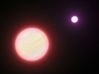 This artist's impression shows the pair of brown dwarfs named CFBDSIR 1458+10. Observations with ESO's Very Large Telescope and two other telescopes have shown that this pair is the coolest pair of brown dwarfs found so far. The colder of the two components (shown in the background) is a candidate for the brown dwarf with the lowest temperature ever found -- the surface temperature is similar to that of a cup of freshly made tea. The two components are both about the same size as the planet Jupiter. Credit: ESO/L. Calçada This artist's impression shows the pair of brown dwarfs named CFBDSIR 1458+10. Observations with ESO's Very Large Telescope and two other telescopes have shown that this pair is the coolest pair of brown dwarfs found so far. The colder of the two components (shown in the background) is a candidate for the brown dwarf with the lowest temperature ever found -- the surface temperature is similar to that of a cup of freshly made tea. The two components are both about the same size as the planet Jupiter. Credit: ESO/L. Calçada