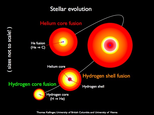 Studies of oscillation frequencies of many stars with very high precision gives insights into stellar evolution by knowing how the cores of stars change (starting in the bottom left corner in the sequence above) from hydrogen fusion-burning cores to helium fusion-burning cores, with intermediate stages where hydrogen fusion-burning shells expand into red giant sizes. A Hydrogen shell fusion star and a Helium core fusion star are indistinguishable when looking only at their surface properties. On the inside, they are radically different. Image credit: Thomas Kallinger, University of British Columbia and University of Vienna Studies of oscillation frequencies of many stars with very high precision gives insights into stellar evolution by knowing how the cores of stars change (starting in the bottom left corner in the sequence above) from hydrogen fusion-burning cores to helium fusion-burning cores, with intermediate stages where hydrogen fusion-burning shells expand into red giant sizes. A Hydrogen shell fusion star and a Helium core fusion star are indistinguishable when looking only at their surface properties. On the inside, they are radically different. Image credit: Thomas Kallinger, University of British Columbia and University of Vienna