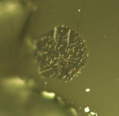Scientists at Brown University found super-tiny melt inclusions in lunar soil samples that opened the door for measurements that revealed the magnitude of water inside the moon. Credit: Saal lab, Brown University Scientists at Brown University found super-tiny melt inclusions in lunar soil samples that opened the door for measurements that revealed the magnitude of water inside the moon. Credit: Saal lab, Brown University
