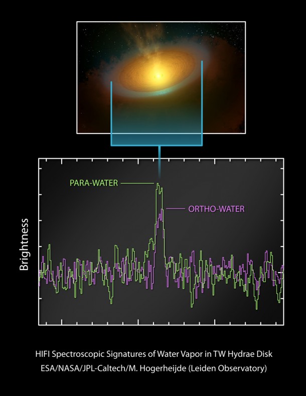 Detection of water vapour in the spectrum of TW Hydrae's protoplanetary disc Detection of water vapour in the spectrum of TW Hydrae's protoplanetary disc